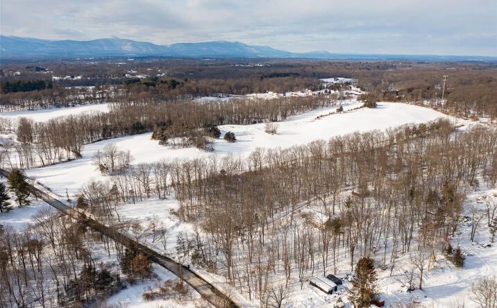 Pictures of Land property located at 207 Pleasant Vale, Clermont, NY 12583 for sales - image #1