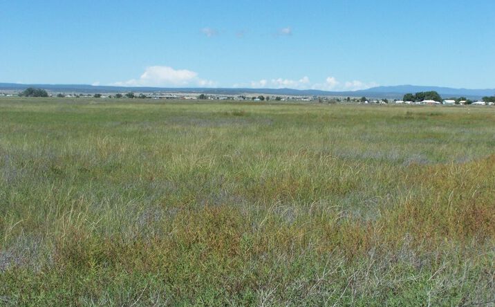 Pictures of Land property located at C. DEL SOL A081/MULBERRY A146, McIntosh, NM 87032 for sales - image #1