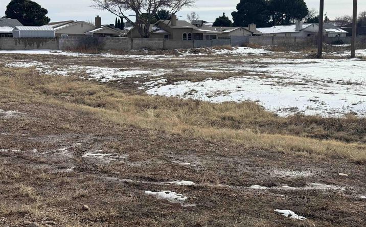 Pictures of Land property located at East of 1558 Elk Drive, Carlsbad, NM 88220 for sales - image #1