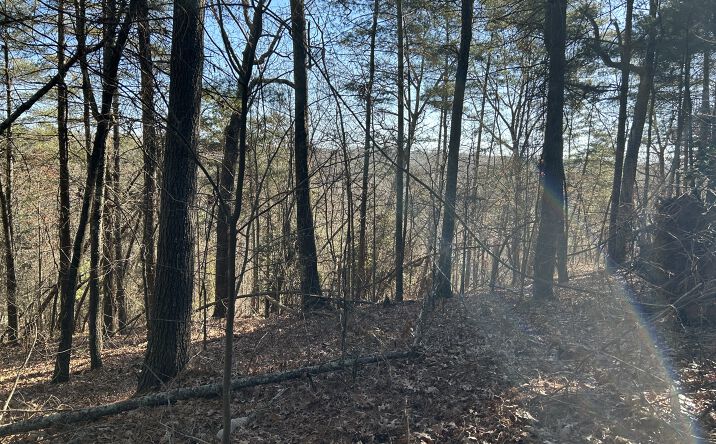 Pictures of Land property located at 00000 Twin River Orchard Rd, Demorest, GA 30535 for sales - image #1