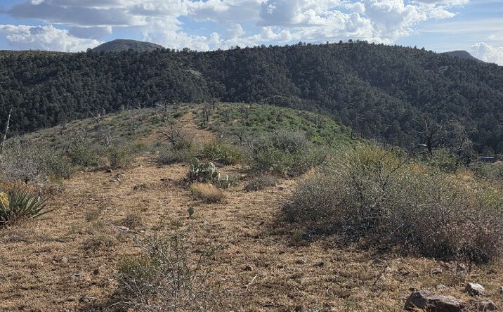 Pictures of Land property located at 10XX E Horseshoe Springs Rd, Globe, AZ 85501 for sales - image #1