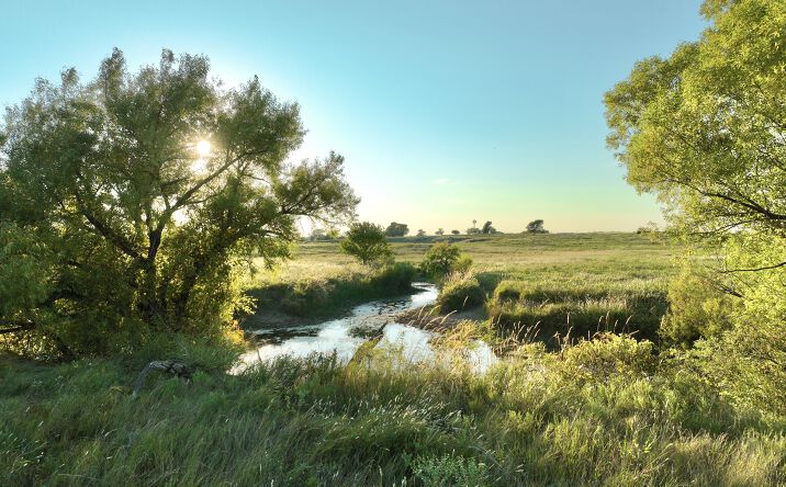 Pictures of Land property located at Co Rd 29, undefined, TX 79070 for sales - image #1