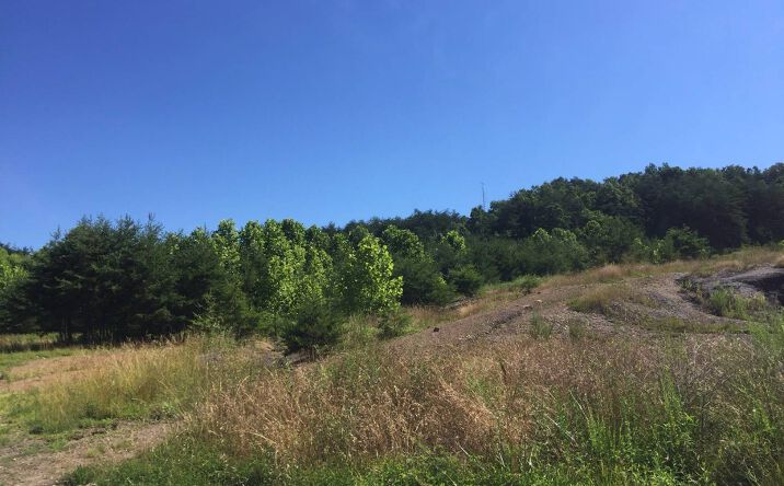 Pictures of Land property located at 400 Keith Whitley Blvd., Sandy Hook, KY 41171 for sales - image #1
