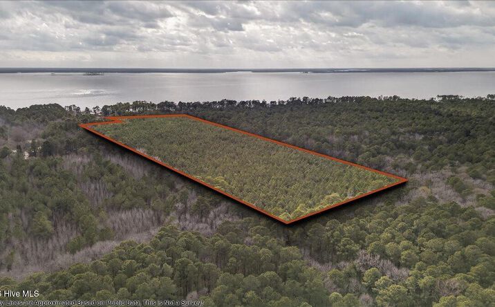 Pictures of Land property located at 2162 Old Pamlico Beach Rd W, Belhaven, NC 27810 for sales - image #1