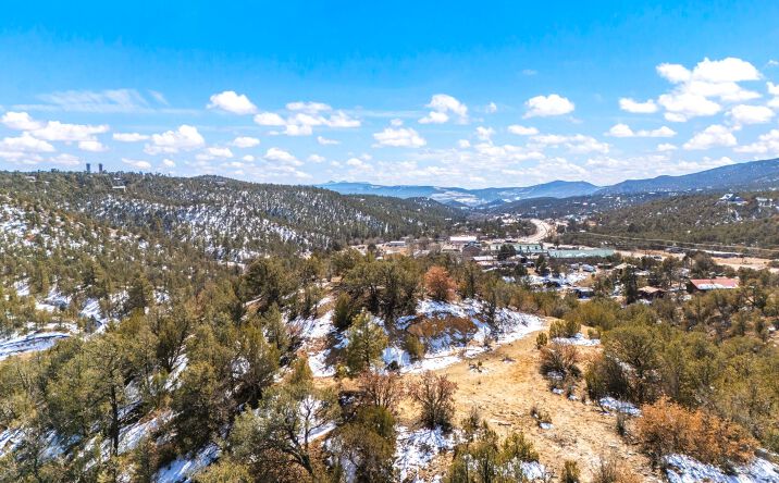 Pictures of Land, Mixed Use, Special Purpose property located at 31 Bilotto Dr, Cedar Crest, NM 87008 for sales - image #1