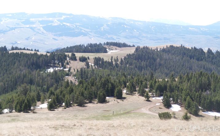 Pictures of Land property located at Hidden Treasure Section 01 Yankee Jim Trail, White Sulphur Springs, MT 59645 for sales - image #1
