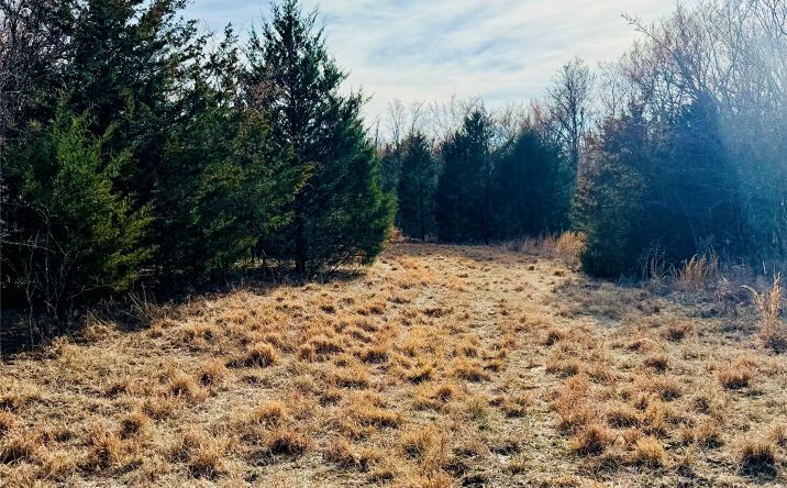 Pictures of Land property located at County Road 3660, Weleetka, OK 74880 for sales - image #1