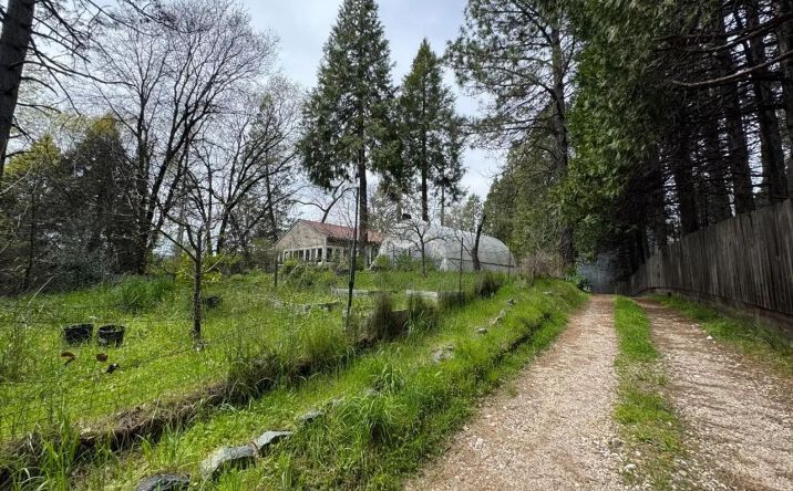Pictures of Land property located at 28110 Sweetland Road, 13828, CA 95960 for sales - image #1