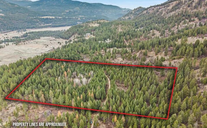 Pictures of Land property located at 3XXX Rockcut Road, 142414, WA 99141 for sales - image #1