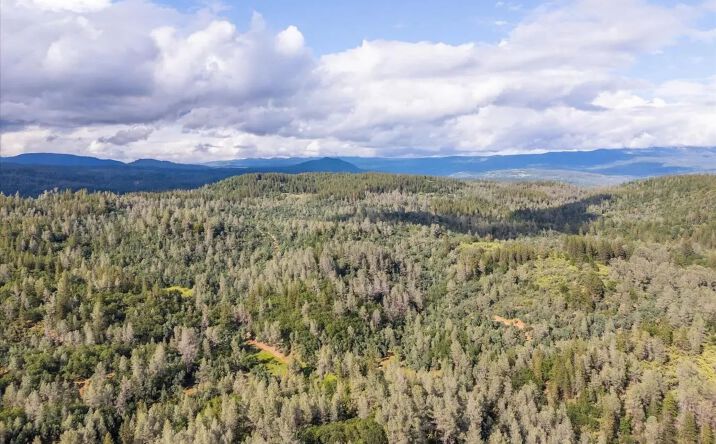 Pictures of Land property located at 0 Donkey Mine Road, 13866, CA 96069 for sales - image #1