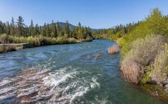 Pictures of Land property located at 6790 Rush Creek Road, 13087, CA 96052 for sales - image #1