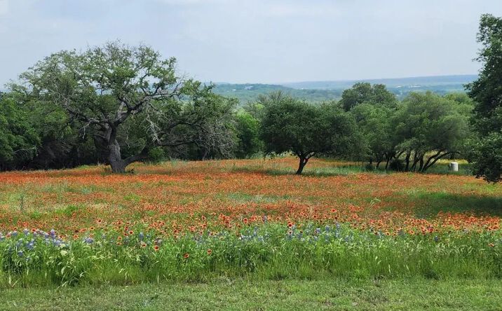 Pictures of Land property located at 851 Stone Mountain Drive, 127187, TX 78654 for sales - image #1