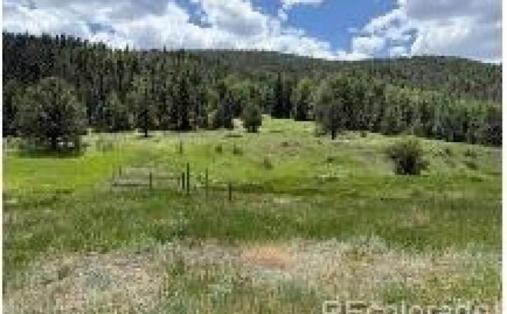 Pictures of Land property located at Lot 1 Co Rd 358, 17503, CO 81252 for sales - image #1