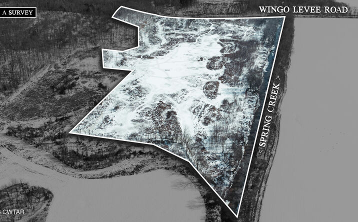 Pictures of Land property located at Wingo Levee Road, Greenfield, TN 38230 for sales - image #1