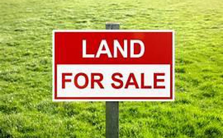 Pictures of Land property located at TBD Van Horn, Van Horn, TX 79855 for sales - image #1