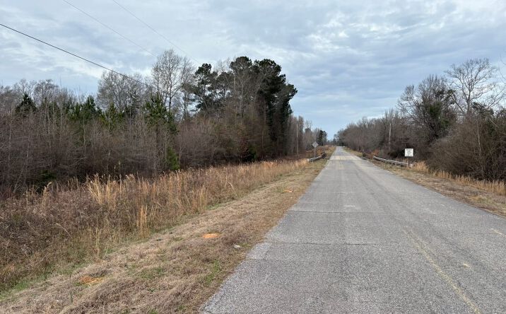 Pictures of Land property located at 000 Newton-conehatta Road, Newton, MS 39345 for sales - image #1