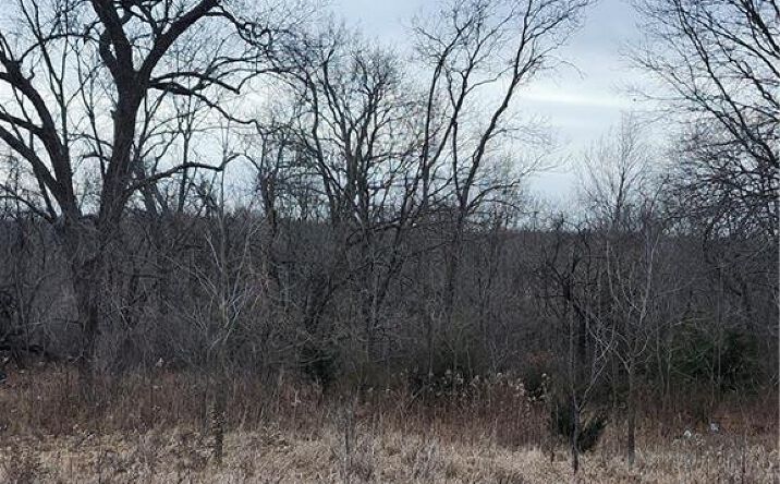 Pictures of Land, Special Purpose property located at 174 Holiday Drive, Linn Valley, KS 66040 for sales - image #1