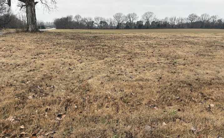 Pictures of Land property located at Lightfoot Luckett Road, Ripley, TN 38063 for sales - image #1