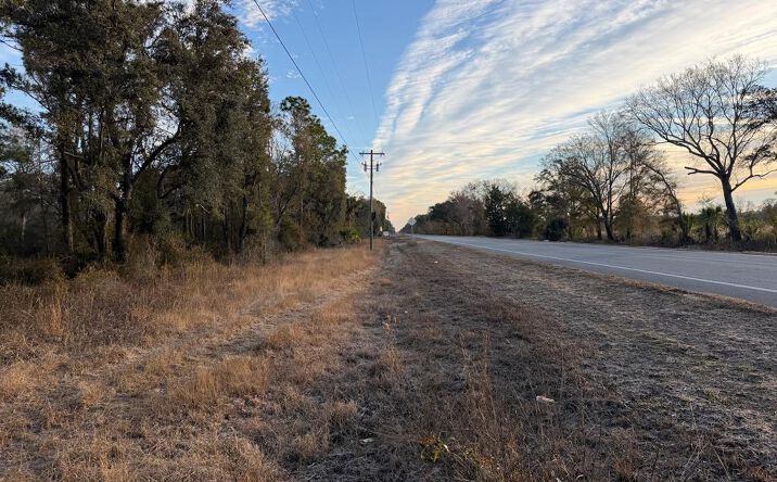 Pictures of Land property located at 40 NE 145th St, Old Town, FL 32680 for sales - image #1