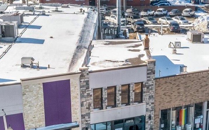 Pictures of Retail, Mixed Use property located at 22917-22919 Woodward, Ferndale, MI 48220 for sales - image #1