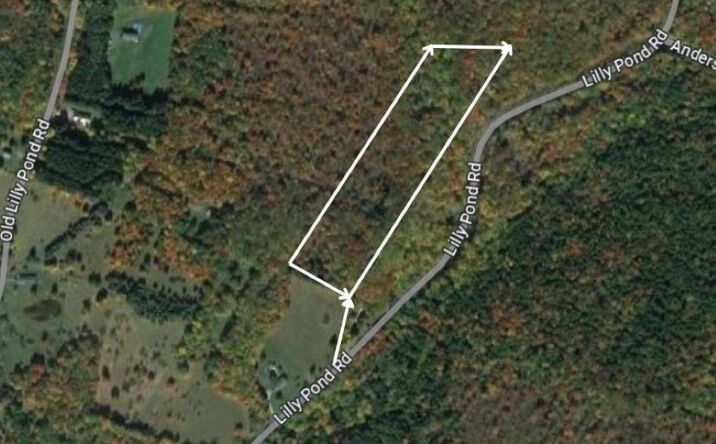 Pictures of Land property located at Lily Pond Road, Neversink, NY 12768 for sales - image #1