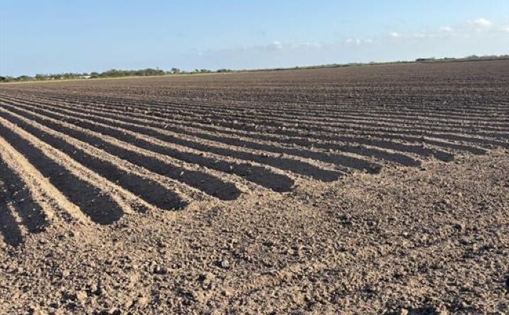 Pictures of Land property located at Mile 14 N Road, Donna, TX 78537 for sales - image #1