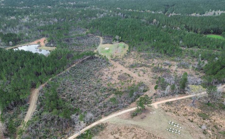Pictures of Land, Multifamily, Special Purpose property located at 51 L Jack Stewart Rd, Poplarville, MS 39470 for sales - image #1
