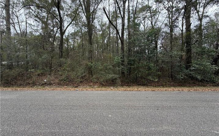 Pictures of Land property located at 0 CAROL Street, Mobile, AL 36608 for sales - image #1