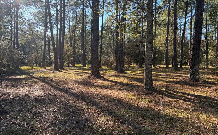 Pictures of Land property located at 0 Venice Court, Mobile, AL 36605 for sales - image #1