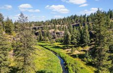 29547815
