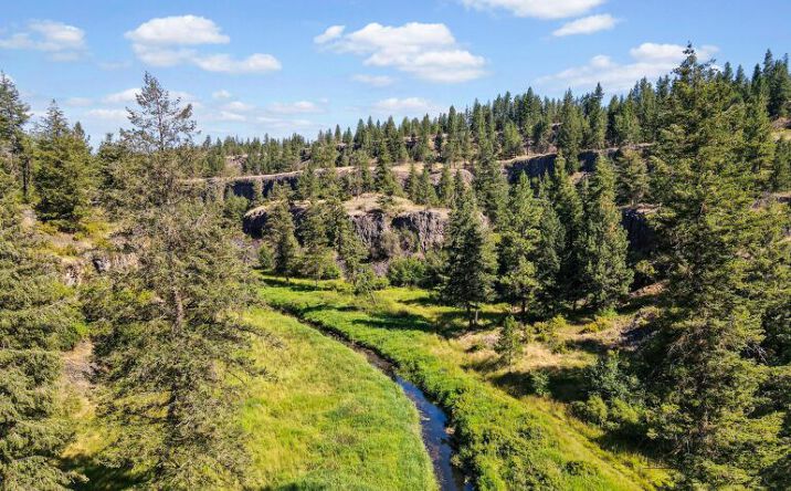Pictures of Land property located at 37227 Long Rd, Cheney, WA 99004 for sales - image #1
