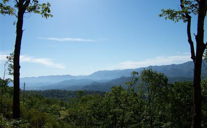 Pictures of Land property located at 850 Bluff Rd, Marble, NC 28905 for sales - image #1