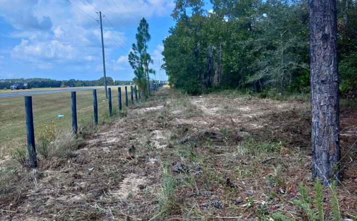 Pictures of Land property located at 1850 FL-44, Wildwood, FL 34785 for sales - image #1