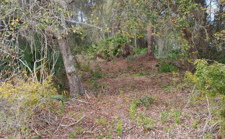 Pictures of Land property located at US-301, Lochloosa, FL 32662 for sales - image #1