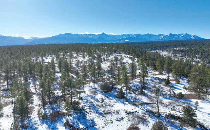 Pictures of Land property located at 695 Wireweed Ln, Montrose, CO 81403 for sales - image #1