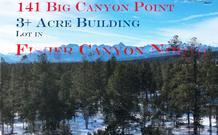 Pictures of Land property located at 141 Big Canyon Point, Ridgway, CO 81432 for sales - image #1
