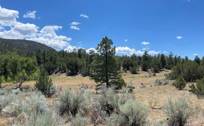 Pictures of Land property located at 67 Camino del Canon #B, Chimayo, NM 87522 for sales - image #1