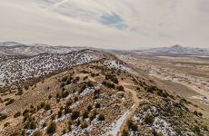 29553540