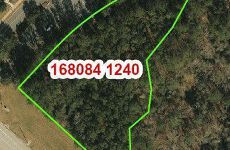 29556680