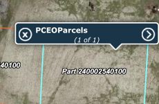 29556902