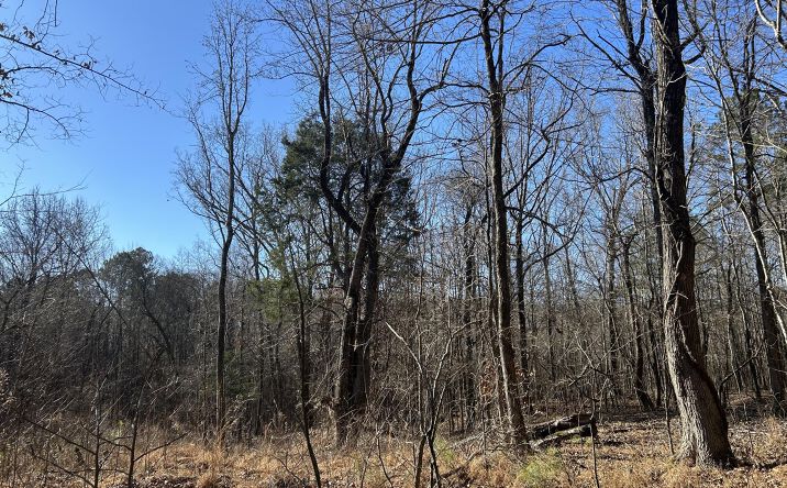 Pictures of Land property located at Blairs Chapel Road, Jackson, TN 38301 for sales - image #1