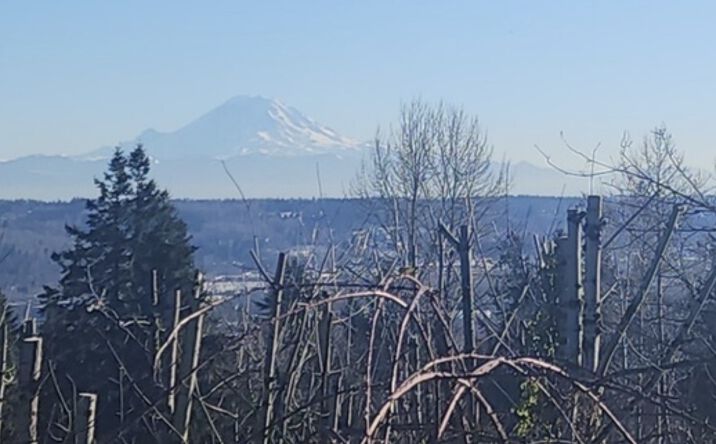 Pictures of Land property located at 71xx S 130th St, Seattle 98178, Seattle, WA 98178 for sales - image #1