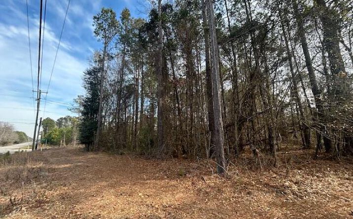 Pictures of Land property located at 4020 Jefferies Hwy Highway, Walterboro, SC 29488 for sales - image #1