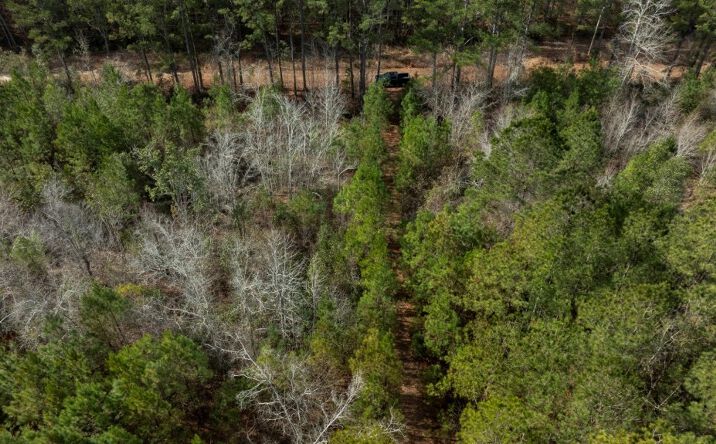 Pictures of Land property located at Riggs Mill Lane, Statesboro, GA 30458 for sales - image #1