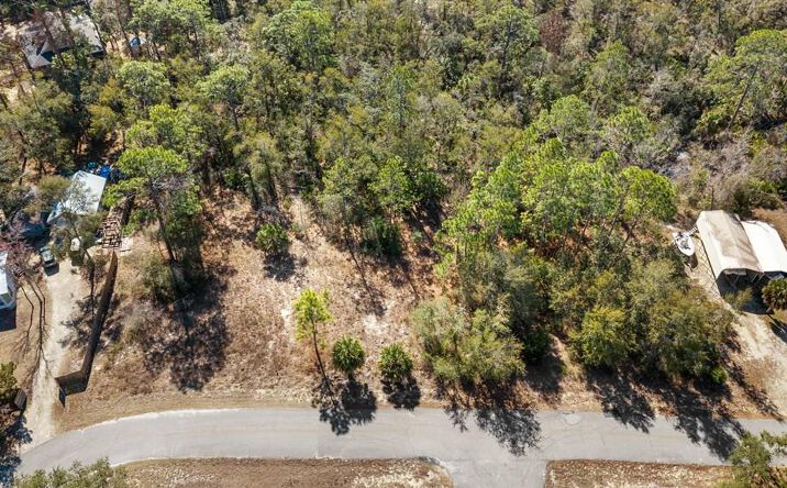 Pictures of Land property located at Kings Creek Cir, Steinhatchee, FL 32359 for sales - image #1