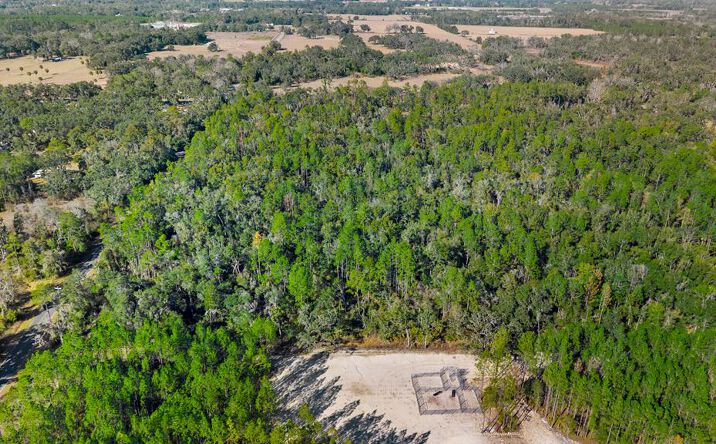 Pictures of Land property located at SE Hwy 55a, Old Town, FL 32680 for sales - image #1