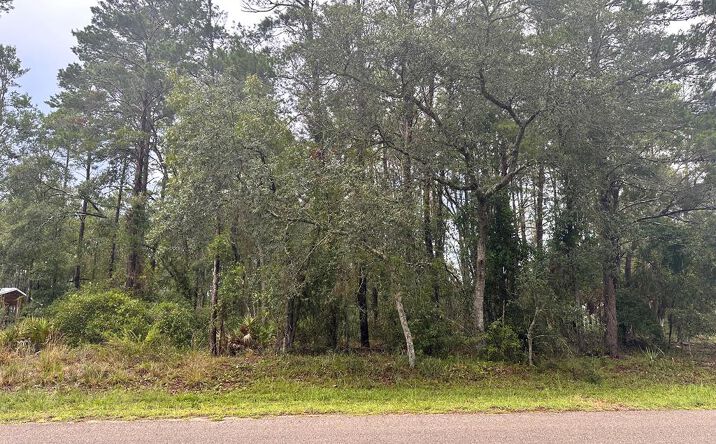 Pictures of Land property located at tbd N Sugar Hill Ln, Steinhatchee, FL 32359 for sales - image #1