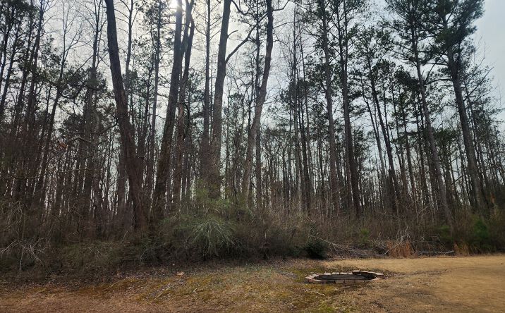 Pictures of Land property located at 5624 Browns Mill Rd, Lithonia, GA 30038 for sales - image #1