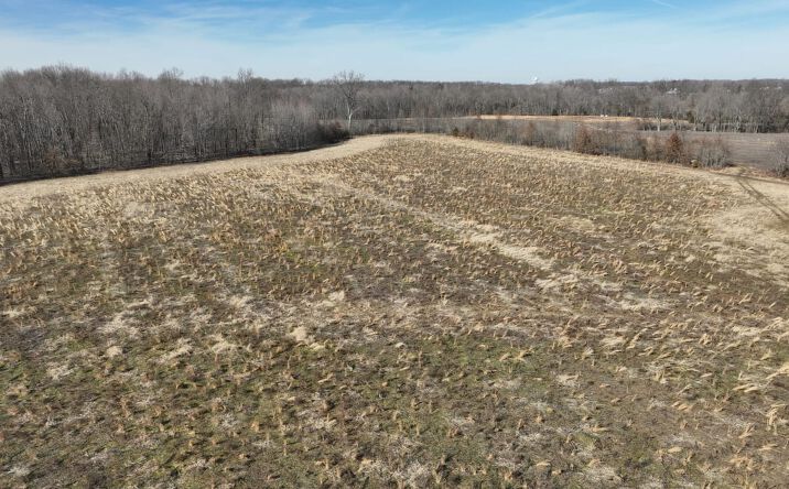 Pictures of Land property located at 0 Old 47 Club Rd - Tract 1, Hamersville, OH 45130 for sales - image #1