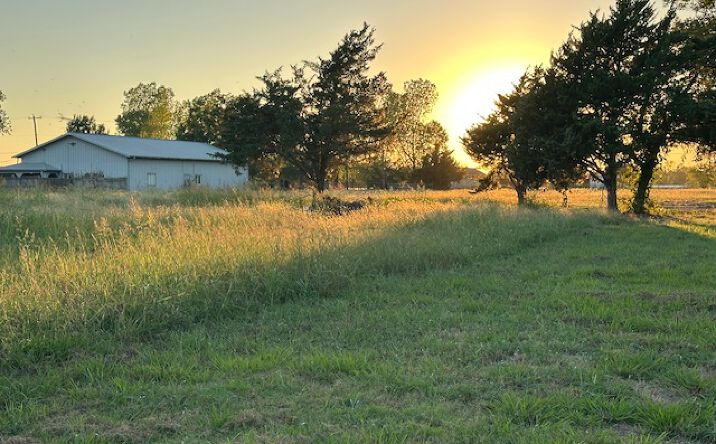 Pictures of Land property located at Live Oak Rd, Princeton, Tx, USA, Princeton, TX 75407 for sales - image #1